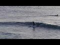 Longboard Sunset Surfing With Original Music