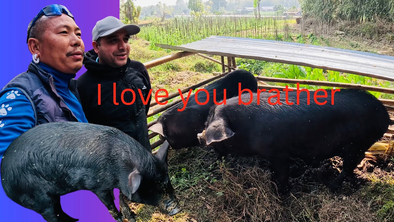 Srip 77.5 k ko mudda milaiyo🙏🏻❤️