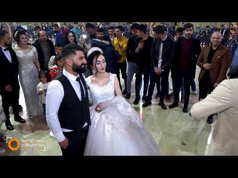 Hebestek Kûrdî Li şahiyê Qamişlo من روائع الشعر الكردي في افراح قامشلو 