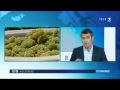 Chronique Éco Avec Pascal Rabiller 12 13 France 3 Aquitaine Du 20 10 15 