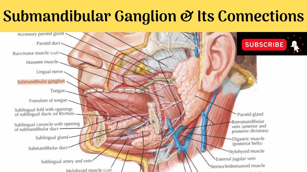 Glándula submandibular inflamada