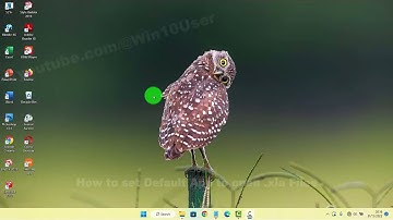 Windows 11 Home : How to set Default App to open  .xla Files