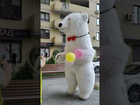 Такую яркую женщину нетрудно не заметить! 🐻❄️🤩 Поздравление от белого медведя #белыймедведь #shorts