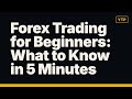 Forex Trading for Beginners: What to Know in 5 Minutes