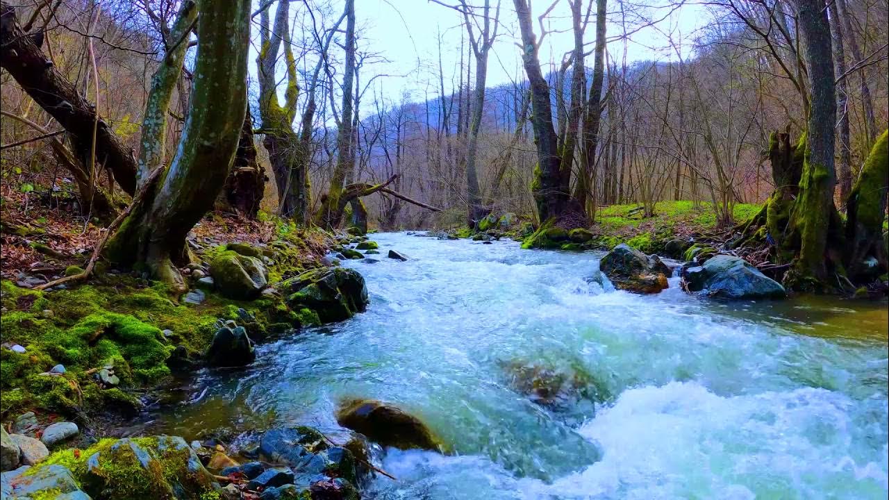 Слушать музыку шум воды. Журчание воды весной. Шум воды. Весной вода в реке.
