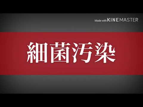 pv  細菌汚染