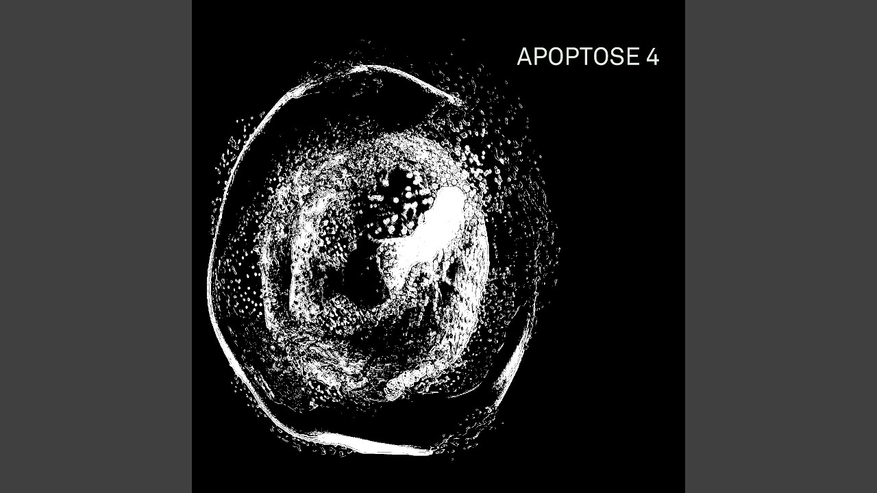 Watch Apoptose 4 on YouTube Watch Apoptose 4 on YouTube