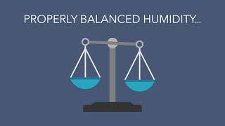 Facts About Humidity - Tassio Temperature Control