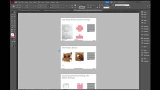 INDD - Case Study Overlay