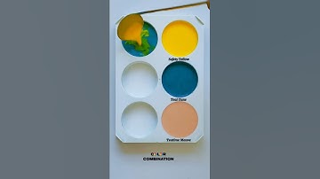 💛🦕🐶Refined Color Combination: Yellow, Teal & Mauve.#trending #relaxing #luxury #colors #magic