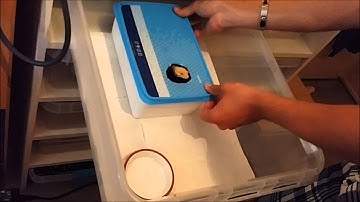 Leopard gecko rack system tub setup