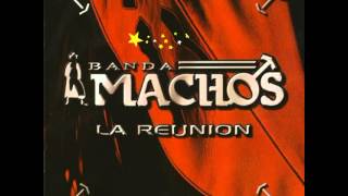 Banda Machos - Muriendo de Amor