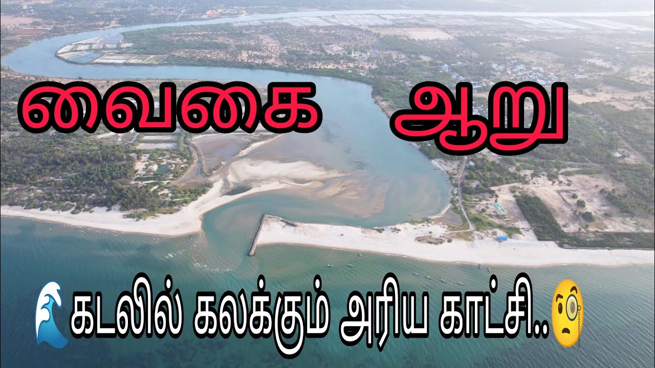 வைகை ஆறு 🌊கடலில் கலக்கும் அரிய காட்சி..🧐 கலக்காது என்று சொன்னவங்களுக்கு இந்த வீடியோ சமர்ப்பணம்