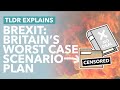 Coping with No Deal & a COVID Second Wave: Britain's Secret Worst Case Scenario Plan - TLDR News