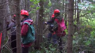 Les étudiant.e.s de la MGDEF durant un cours en forêt