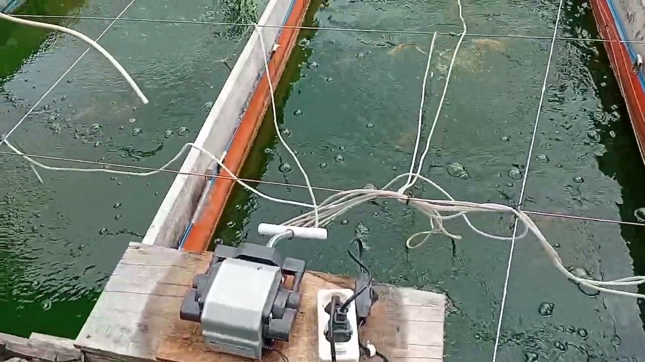 Aerator terbaik untuk budidaya ikan nila skala rumahan || RESUN AP 50