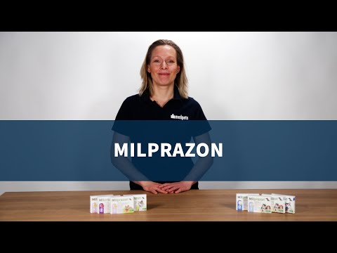 Video: Milprazon Voor Katten: Instructies Voor Gebruik, Indicaties En Contra-indicaties, Bijwerkingen, Beoordelingen En Analogen