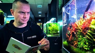QUALITY CONTROL IN AQUASCAPING - BEAUTIFUL AQUASCAPES AT GREEN AQUA видео AquaQuality.ru - все фильтры для воды в г. Благовещенск
