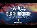 Surah Al-Baqarah Full (سورة البقرة) | Ultimate Most Beautiful Heart Melting Quran #baqarah