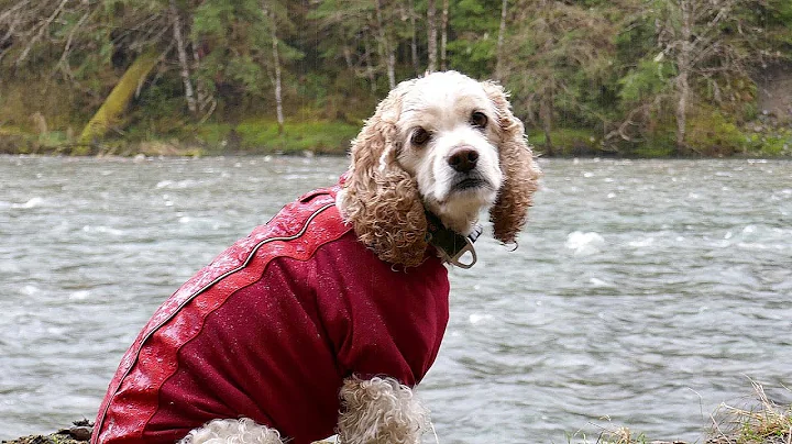 Backpacking Gear First Tests in the Rain along the...