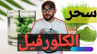 سحر الكلوروفيل | فوائدها لعلاج مشاكل الجهاز الهضمي | افضل مصدر طبيعي لها