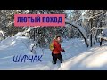 Лютый поход по целику в ТАЙГЕ. Урочище ШУРЧАК. Дом ТУРИСТОВ | ski trip