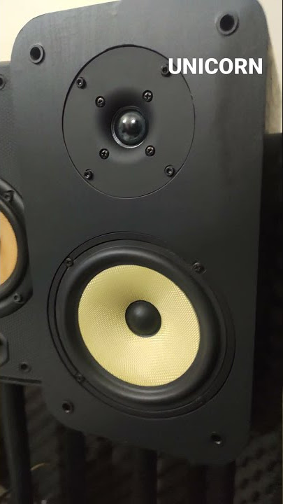 Gigabass New Top of the Line Bookshelf Speaker, The UNICORN.