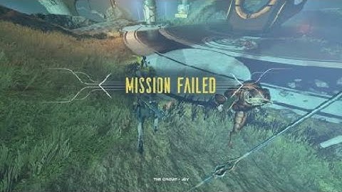 Rare Warframe Bug fr