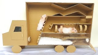 New Hamster Race In Car Maze Making From Cardboard For Three Cute Hamsters