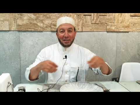 مطعم دلفينو للمأكولات البحرية بنيد القار