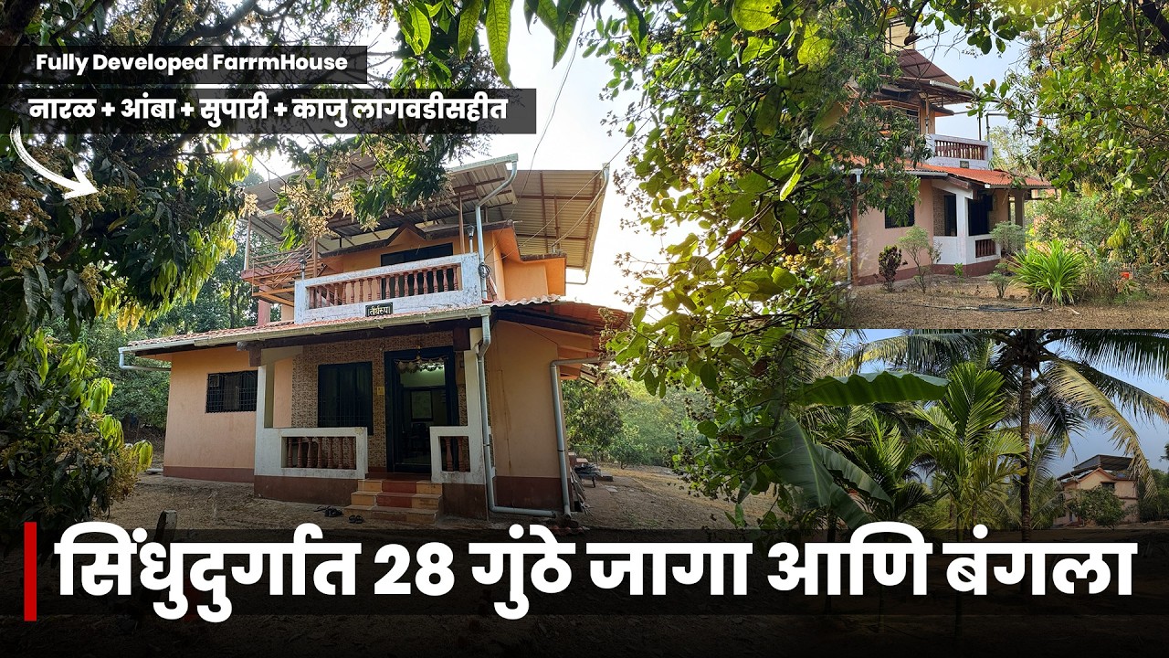 सिंधुदुर्गात 28 गुंठे जागा आणि बंगला + लागवड Fully Developed Property | P316
