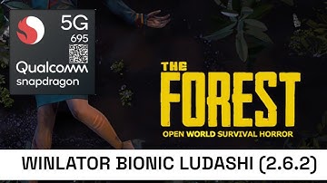 THE FOREST /WINLATOR/SD 695/