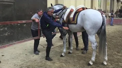 ANDREA BOCELLI &  CAUDILLO  VIDEO