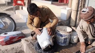 Amazing Restoration of a Rusty Fuel Tank | Amazing Manufacturing of Motor Bike Fuel Tank by Amazing Skills 149 views 7 months ago 12 minutes, 55 seconds