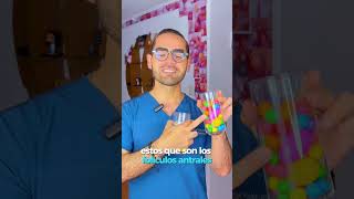 Miguel Ángel Robles Carmona-13