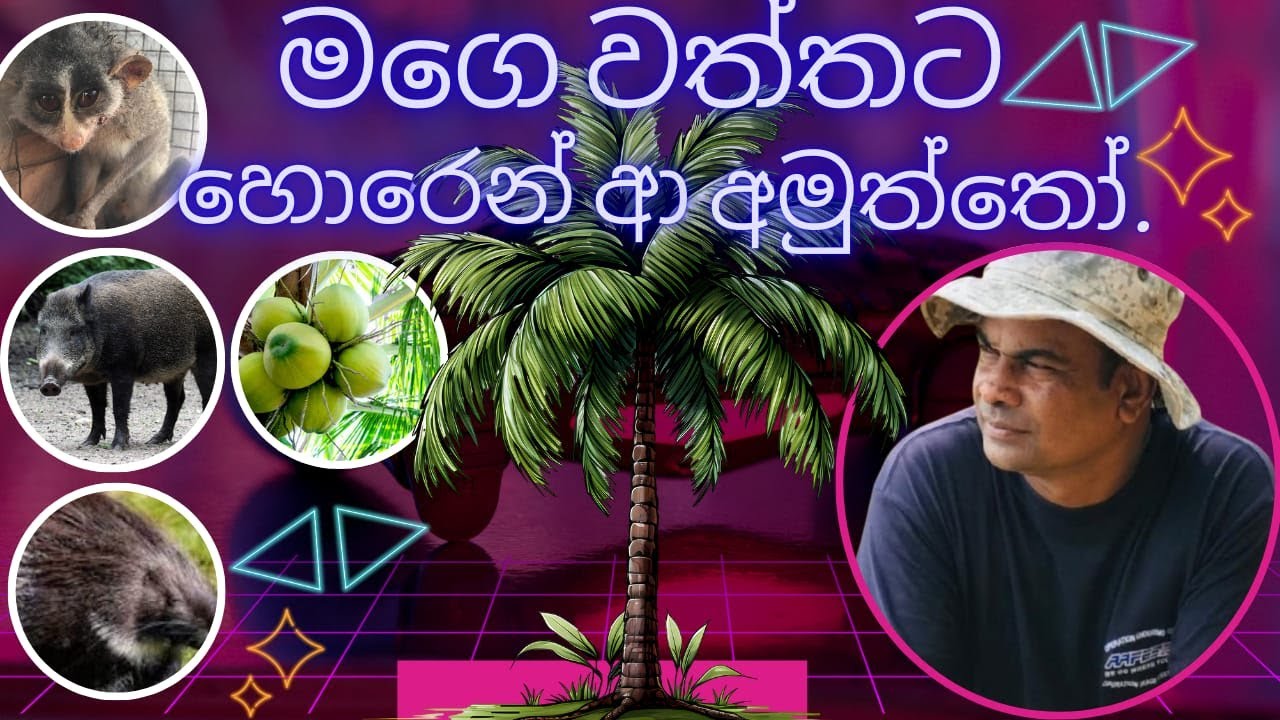 වගාව සතුන්ගෙම් බෙරාගන්නා ගන්නා උපක්ක්‍රම