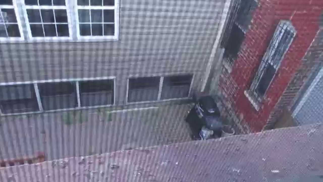 Very Private, Wicker Park Coach House For Rent / Chicago, IL 60622