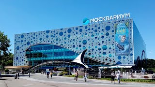 Москвариум. Океан на ВДНХ. Часть 2.