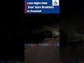 #Shorts Late Night Wild Gaur Seen Roadside in Arambol