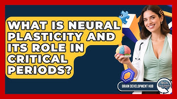 What Is Neural Plasticity And Its Role In Critical Periods? - Brain Development Hub