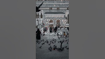 سورة الحج {الآية 46} بصوت الشيخ ياسر الدوسري ❤️💖