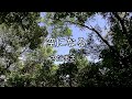 2026-9-2 空になる/さだまさし