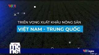 Nhộn nhịp thị trường xuất khẩu nông sản Việt Nam – Trung Quốc | VTV24