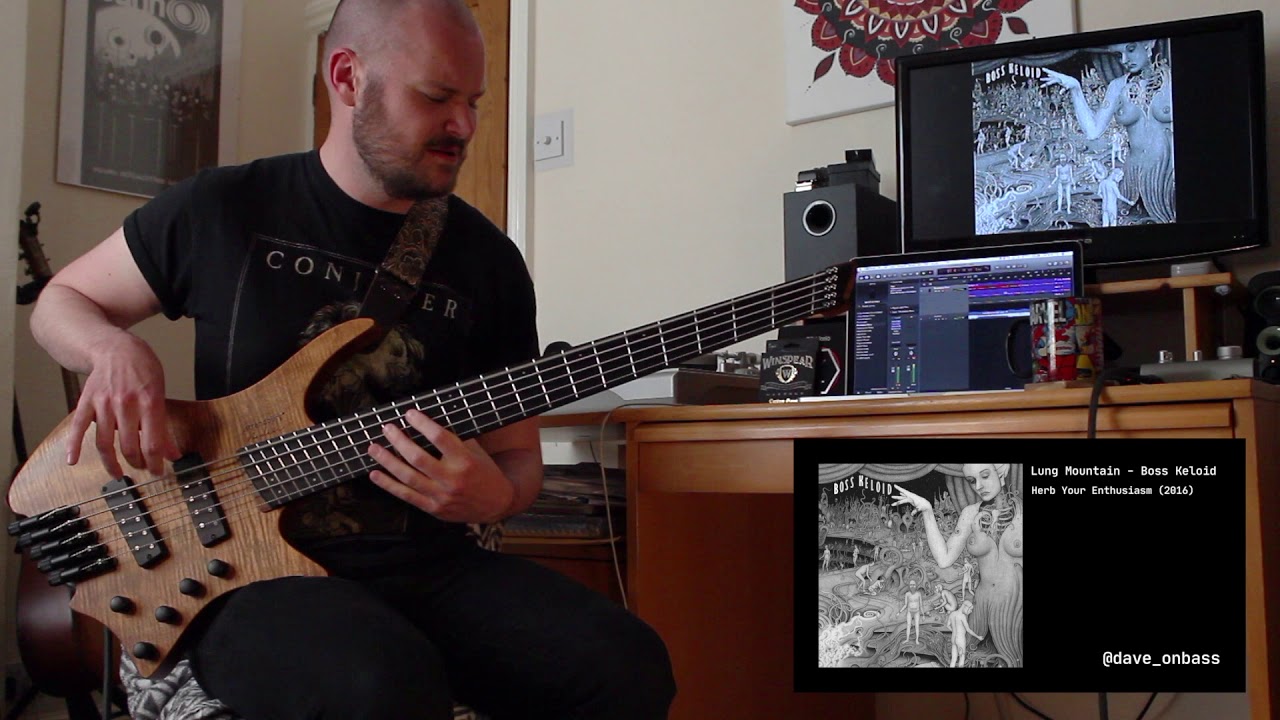 Lung Mountain - Boss Keloid (Bass Cover)