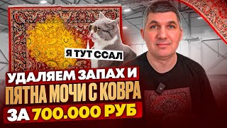 КОВЕР ЗА 700.000 РУБЕЛЕЙ! Как удалить мочу с вискозного ковра ? Подробное руководство