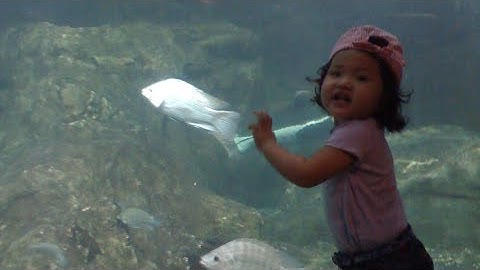 Application video for NYU Filmmaker’s Workshop Summer 2025