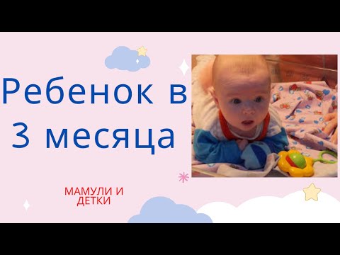 Ребенок в 3 месяца /  Мамули и детки