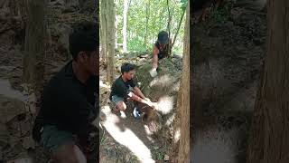 wao mantap   #shortsvideo #animals #fypシ