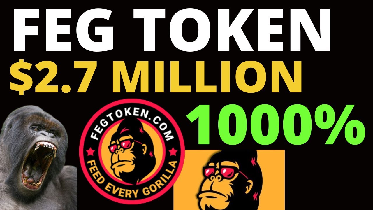 FEG TOKEN | $2.7 MILLION IN TWO WEEKS | FEG RISE | FEG CRYPTO - YouTube