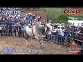 ¡¡¡¡AYUDEN AL JINETE!!!! PEGASOS DE OAXACA Y RANCHO LA CANELA EN COAPAM DE GUERRERO, OAX.